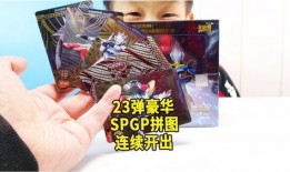 最新豪华版sp卡爆料图,揭秘神秘特性与华丽外观